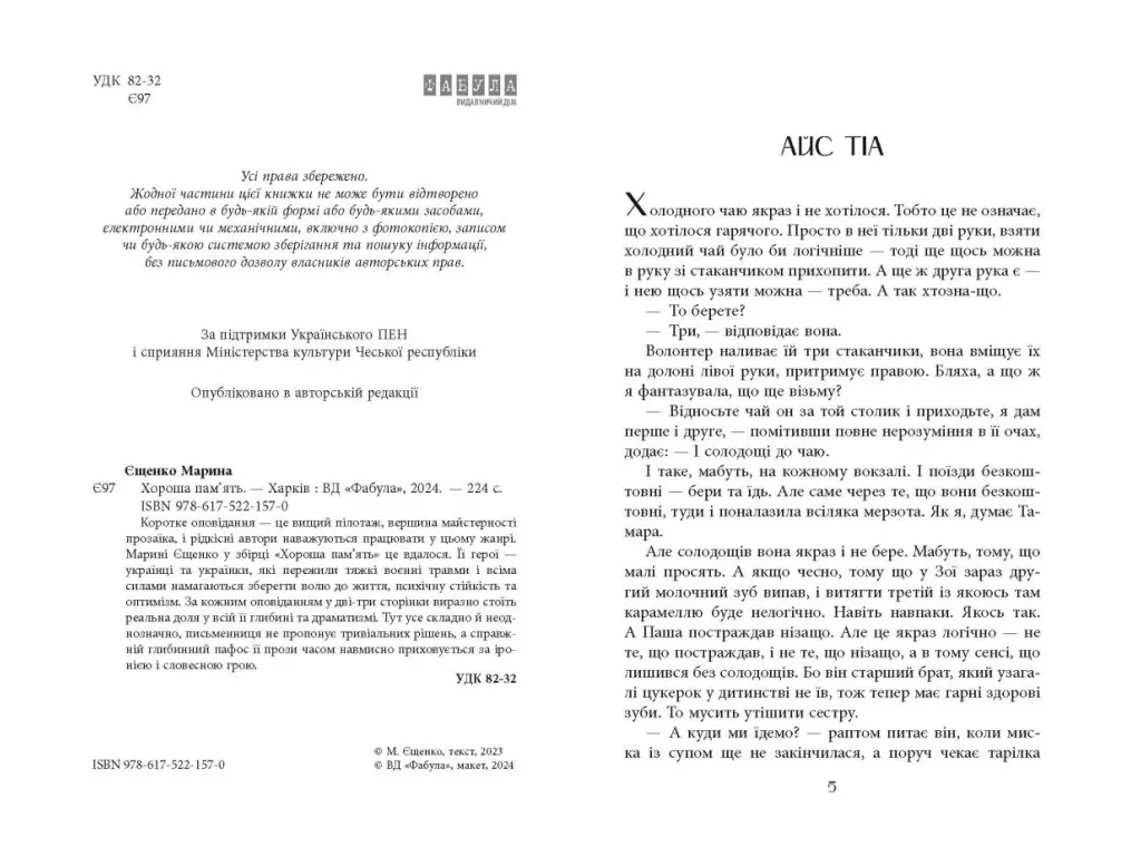 Современная проза Украины, Хорошая память, Фабула