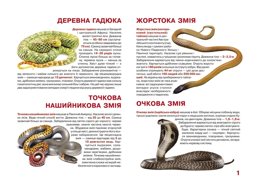 Большая книга "Ядовитые змеи", для детей и взрослых, Crystal Book