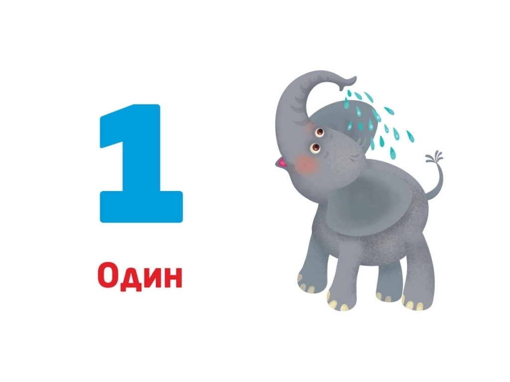 Многоразовые прописи, "Цифры и числа", 4-6 лет, Кенгуру (Кенгуру)