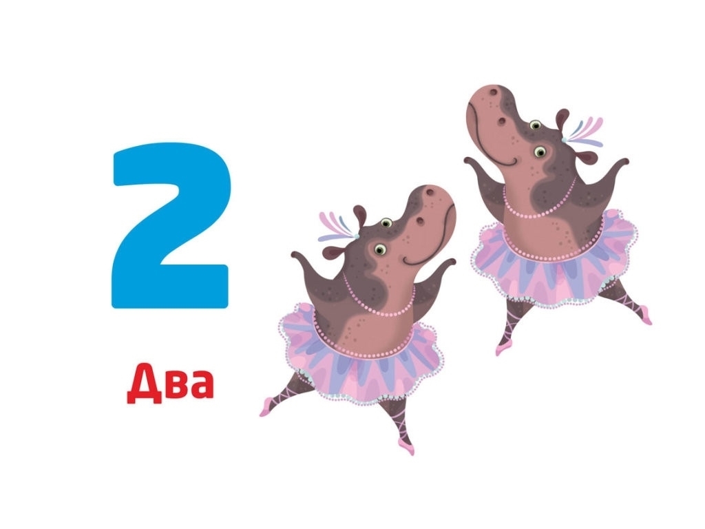 Многоразовые прописи, "Цифры и числа", 4-6 лет, Кенгуру (Кенгуру)
