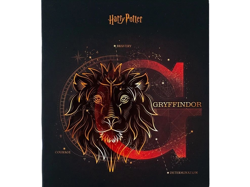 Тетрадь в клетку 48 листов, Harry Potter (цена за 1шт)