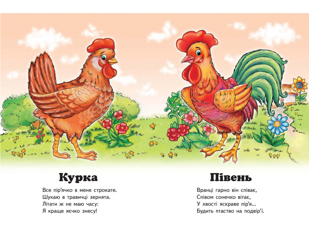 Улюбленим малюкам, Хто це? Півник, Пегас